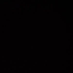 Meet your Posher, Dylan